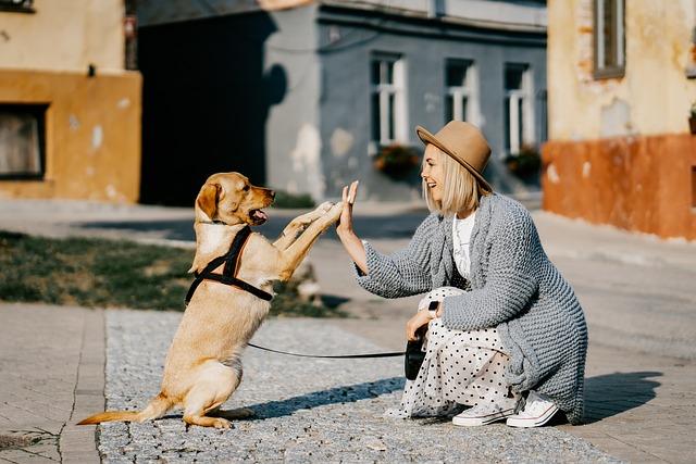 Terapeut Olomouc: Společník na cestě za lepším já