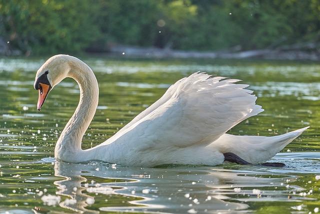 Jak udržet monogamní vztah dlouhodobě a šťastně