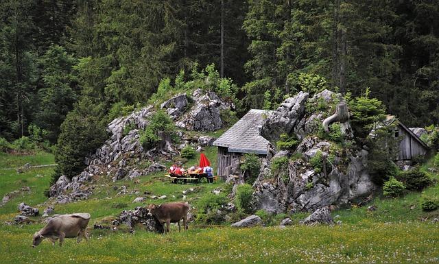 Podrobné porozumění klíčovým psychologickým konceptům