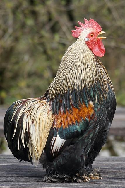 Důvěryhodné a účinné poradenství pro Vaše potřeby