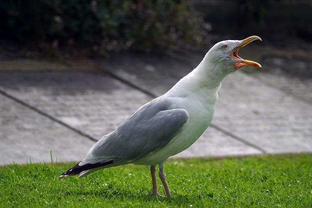 Obtíže, se kterými vám poradna v Berouně může pomoci