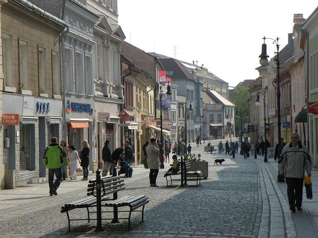 Louny Psychiatrie: Lokální Služby a Péče