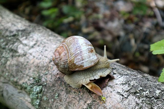 Pomalý vývoj vztahu: 5 tipů pro trpělivost a růst