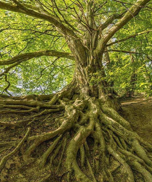 Podívejme se blíže na kořeny existenciální úzkosti