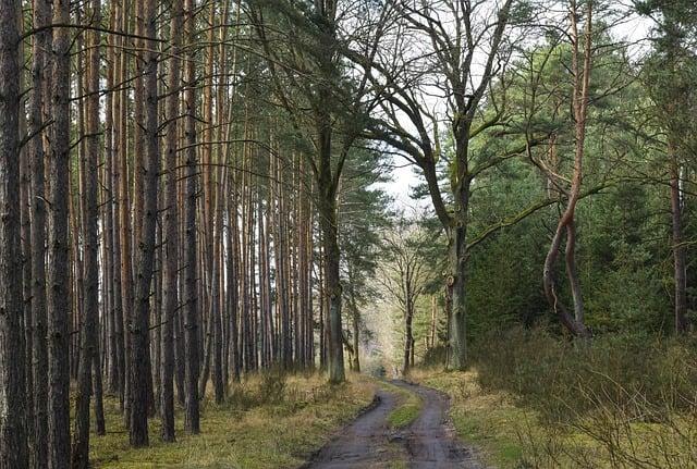 Způsoby, jak se vyhnout zbytečnému stresu ve vztahu