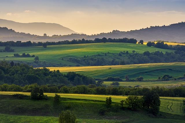 5. Role terapeutického prostředí při léčbě závislosti