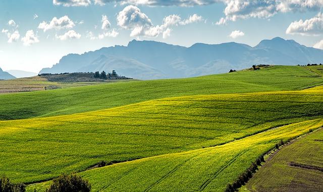 Role terapeuta v procesu terapie SE