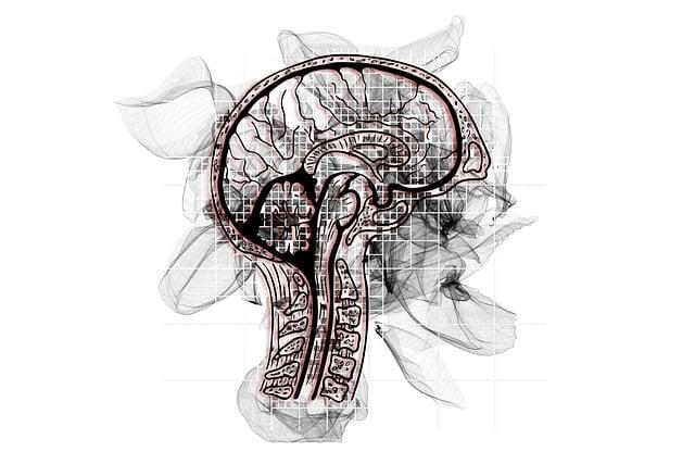 Jaké jsou nejnovější metody diagnostiky a léčby Alzheimerovy choroby?