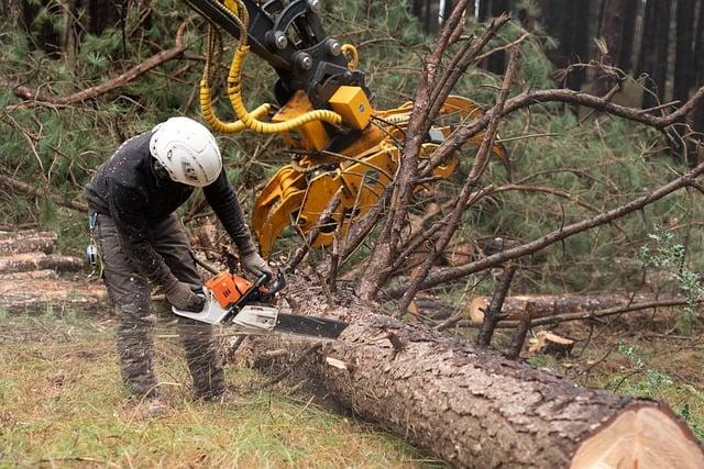 - Jak obnovit a upevnit společenské vazby