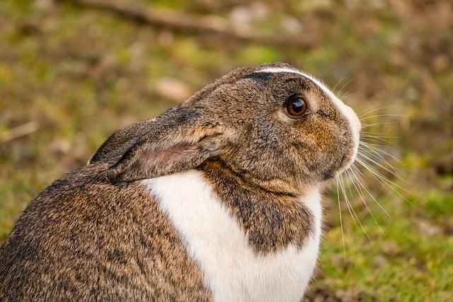 Jak se soustředit na uzdravení a posunutí karmického vztahu