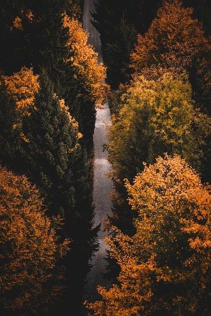 Využití mindfulness a meditace k zvládání klimatické úzkosti