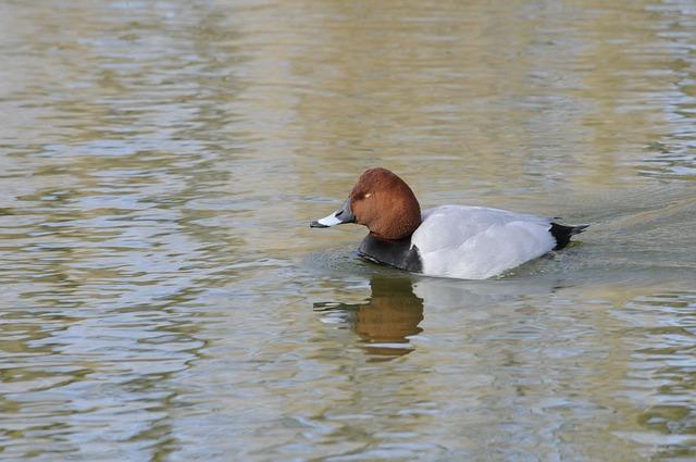 Společné plány ‌a cíle pro udržení silného⁣ vztahu